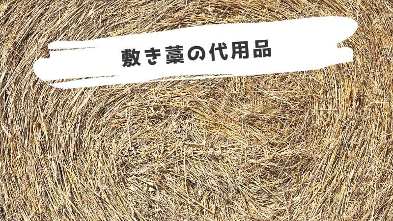 敷き藁の代用品/代わりは新聞紙でいい?100均で手に入るものは?