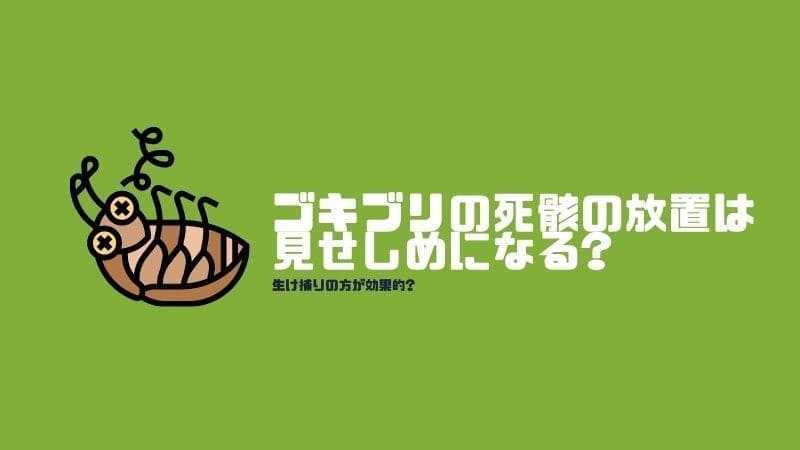 ゴキブリの死骸の放置は見せしめになる?生け捕りの方が警告フェロモンで効果的?