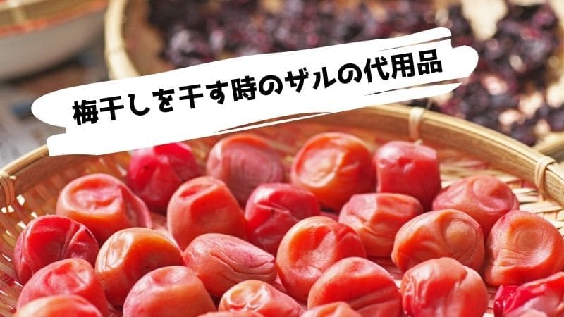 梅干しを干す時のザルの代用品/ざるがない時の干し方や代わりは?