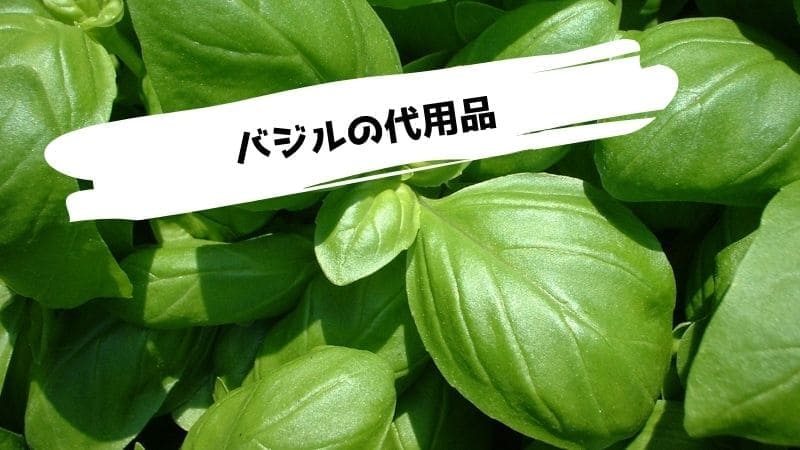 バジルの代用品/ない時の代わりになるものは?