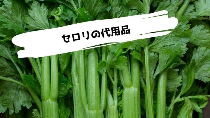 セロリの代用品/セロリに似た野菜や代わりになる野菜は?